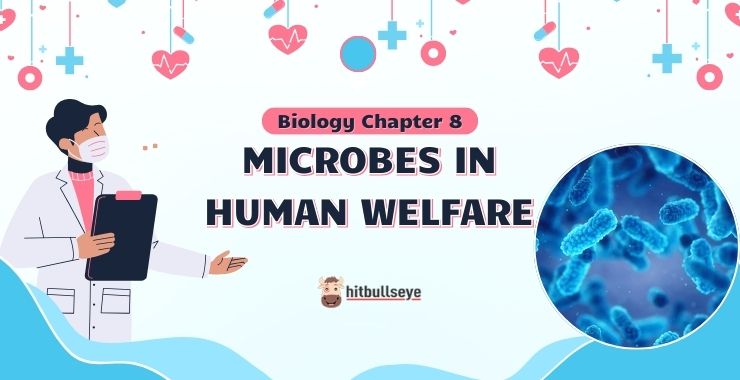 NCERT Class 12 Biology Chapter 8 Microbes in Human Welfare MCQs & PYQ
