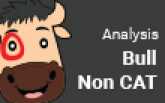 Test Analysis - Bull Non-CAT Tests
