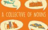 collective nouns used for things, people and animals