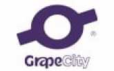 Grapecity Interview Questions